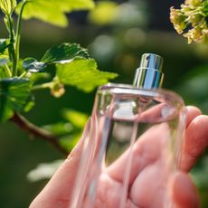 Best insect repelling perfumes