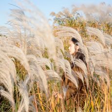 Woman in a wheat field, scene similar to the vibe of Elizabeth Arden White Tea Eau de Toilette