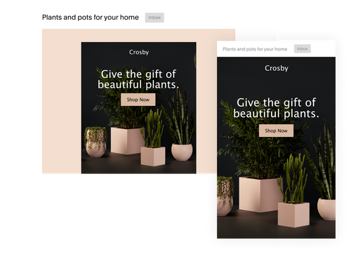 Desktop and mobile email UIs selling plants
